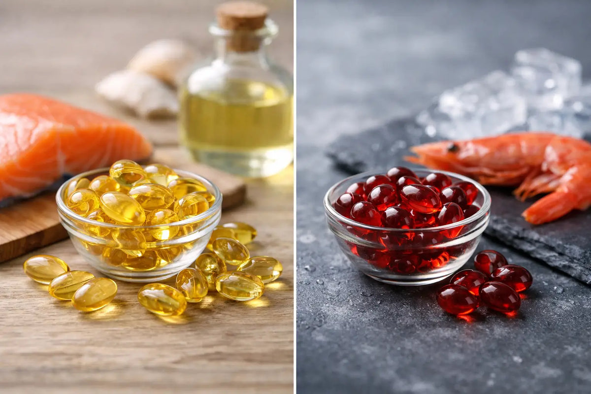 Fish Oil vs Krill Oil: Which Is Right for You?