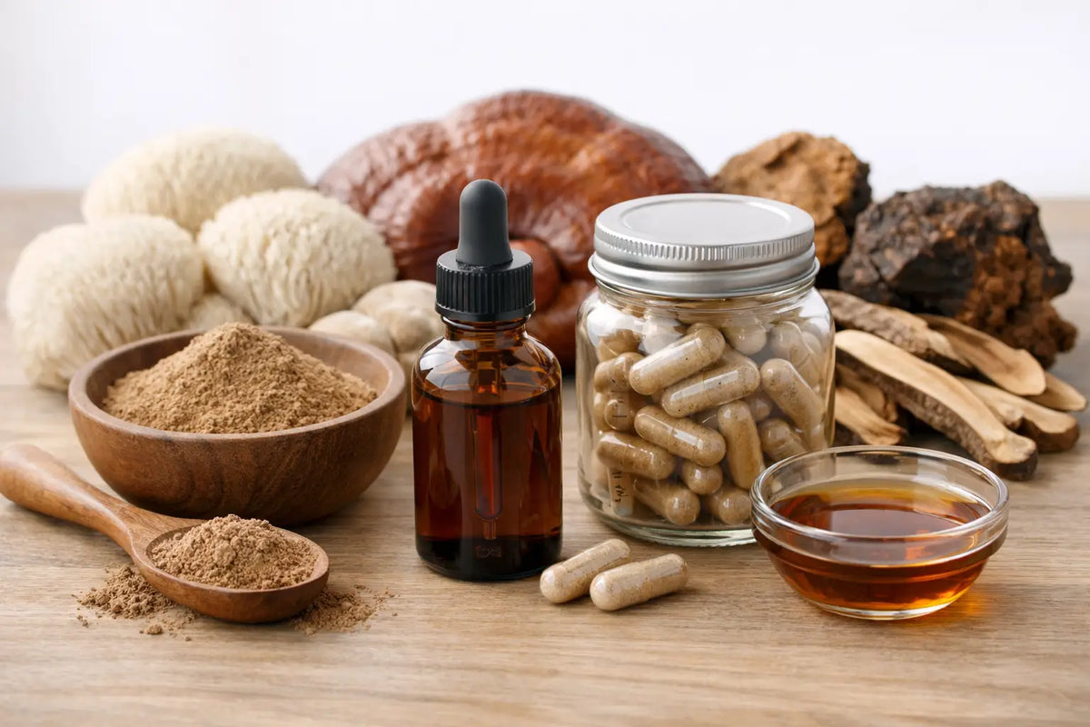 Your Practical Guide to Mushroom Extracts